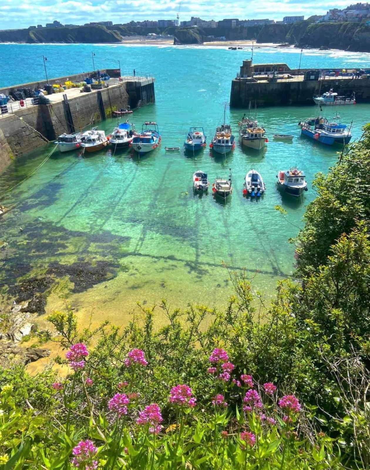 Shore Lodge New Quay Exterior foto